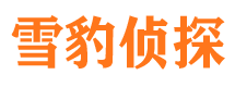 大柴旦寻人公司